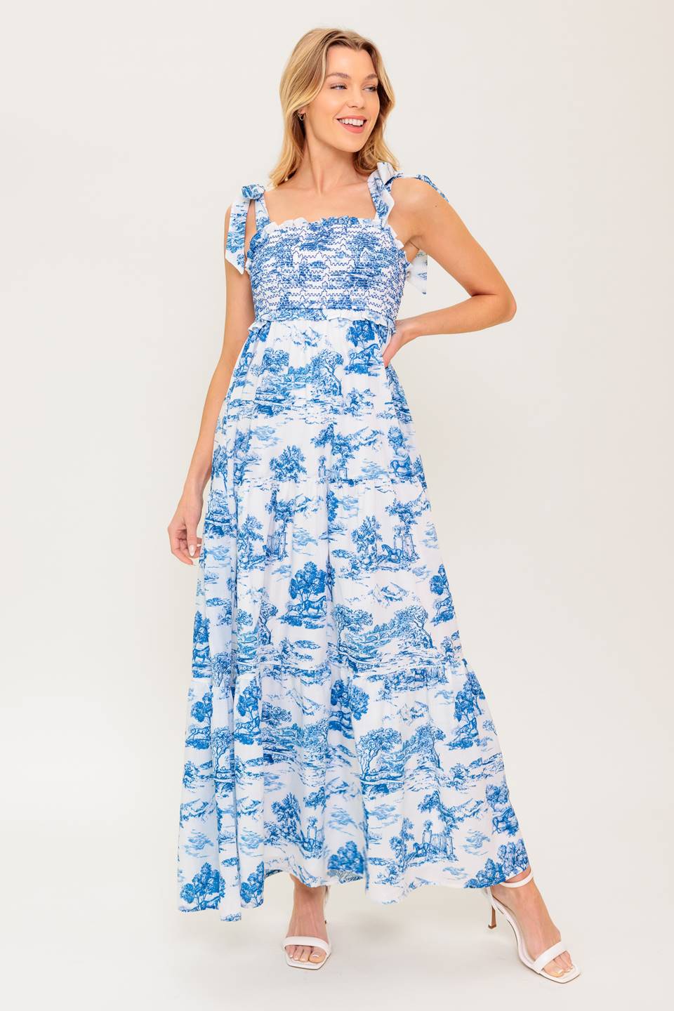 WHEN IN ROME MIDI DRESS - BLUE & WHITE TOILE-Vavasi