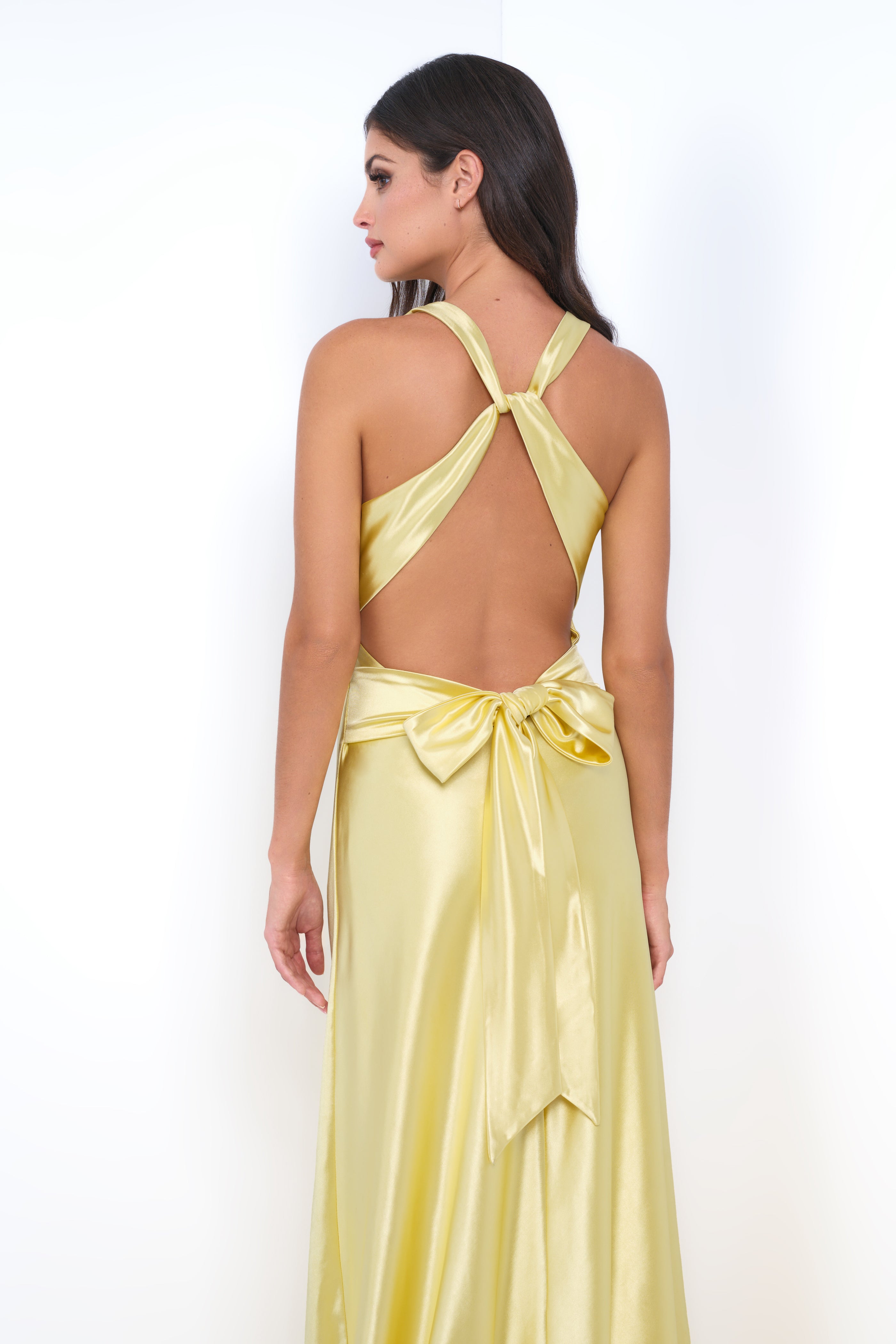 Odette Maxi Dress - Pink-Vavasi