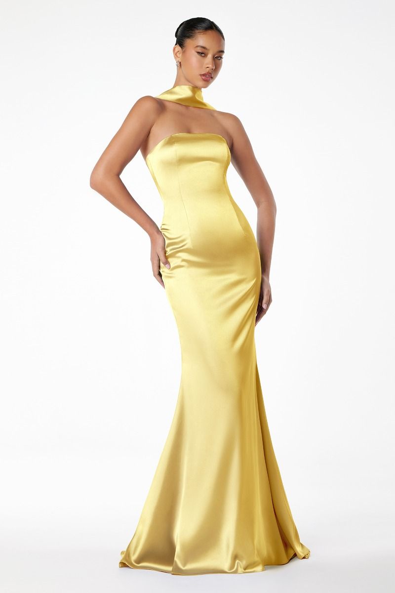 Brynn Maxi Dress - Strapless Fitted Satin Dress-Vavasi