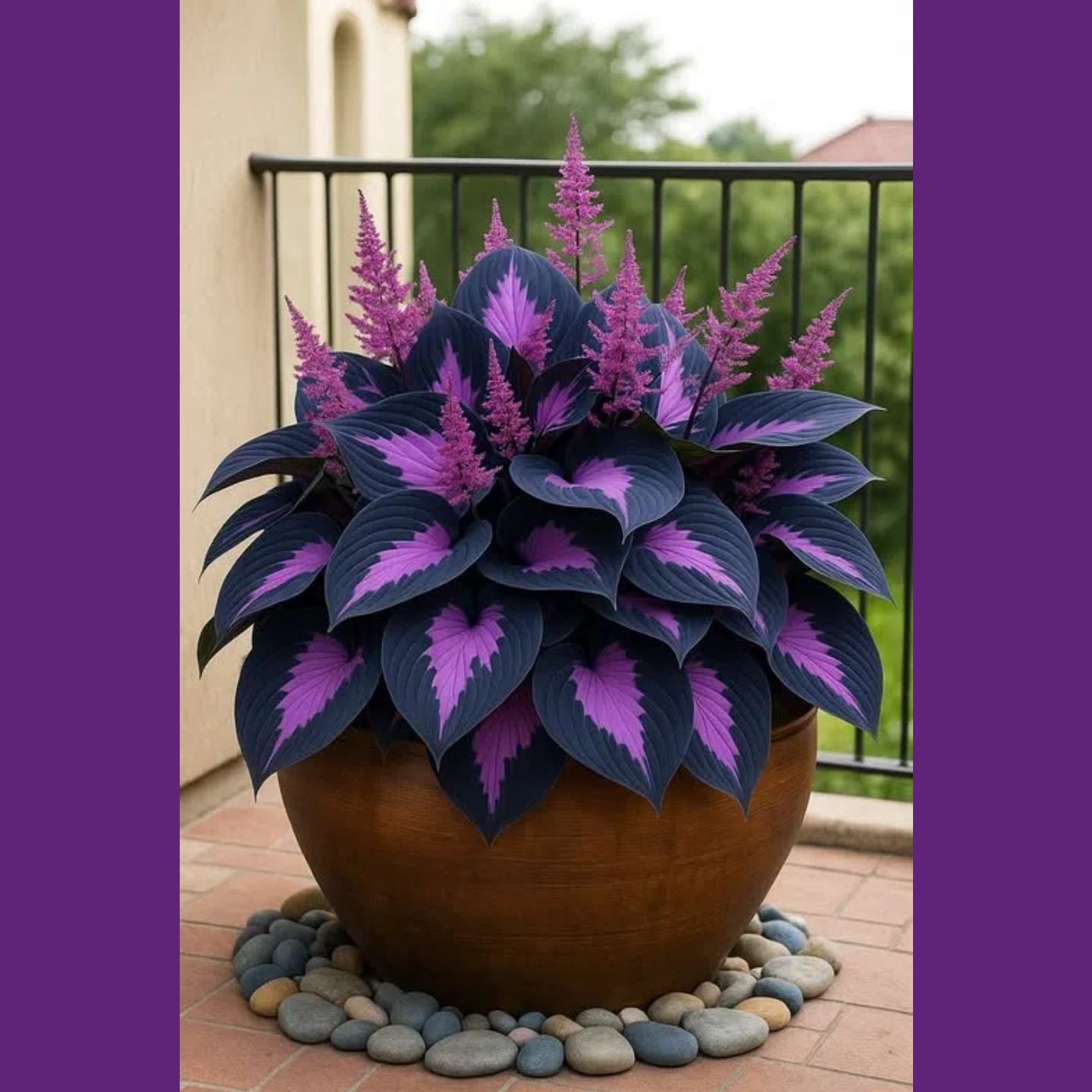 🪴Rare Hosta Bulbs for Elegant Shade Gardens