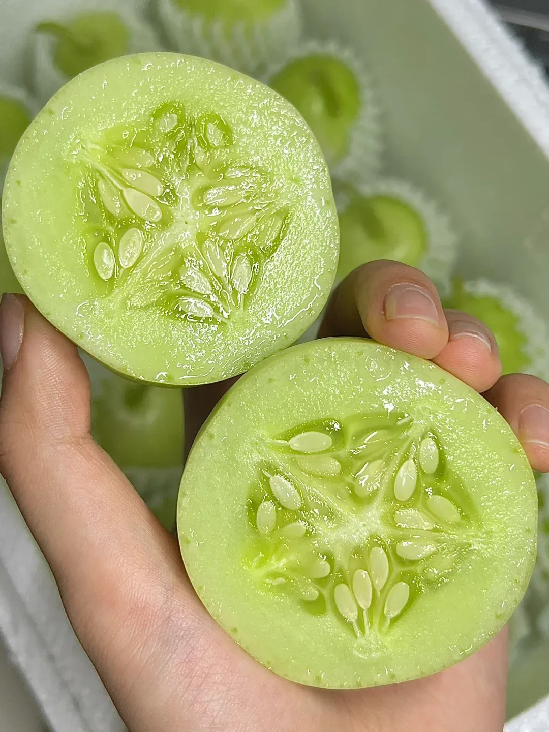 🌟 Jade Lady Cucumber Seeds🥒Refreshing, crisp and tender🍃the first choice for deliciousness!
