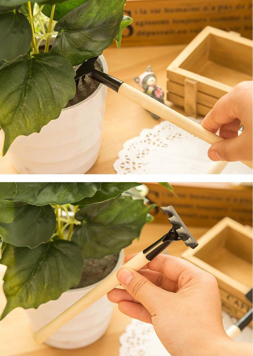 🪴Double-flowered Rose Orchid Seeds-Cold-resistant and fragrant