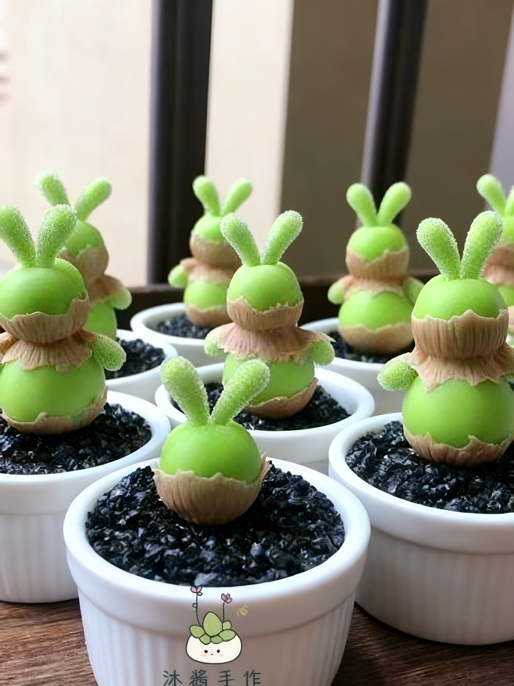 🌈 Dream Rainbow Succulent – A Touch of Color for Your Garden 🌱