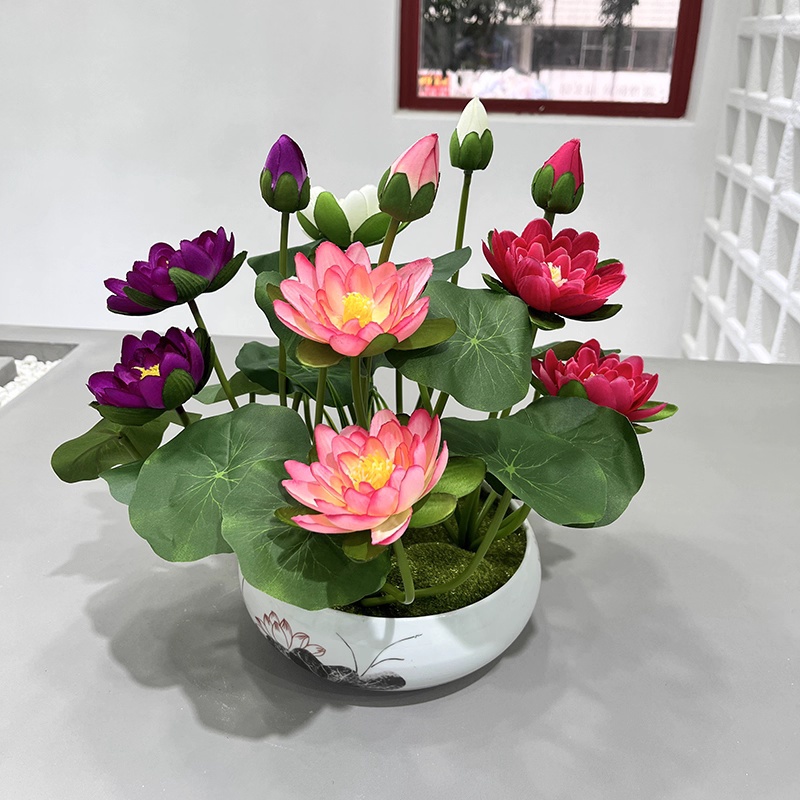 🌈 Rainbow Lotus Flower Seeds – Exotic Water Lilies for Indoor & Outdoor 🌸