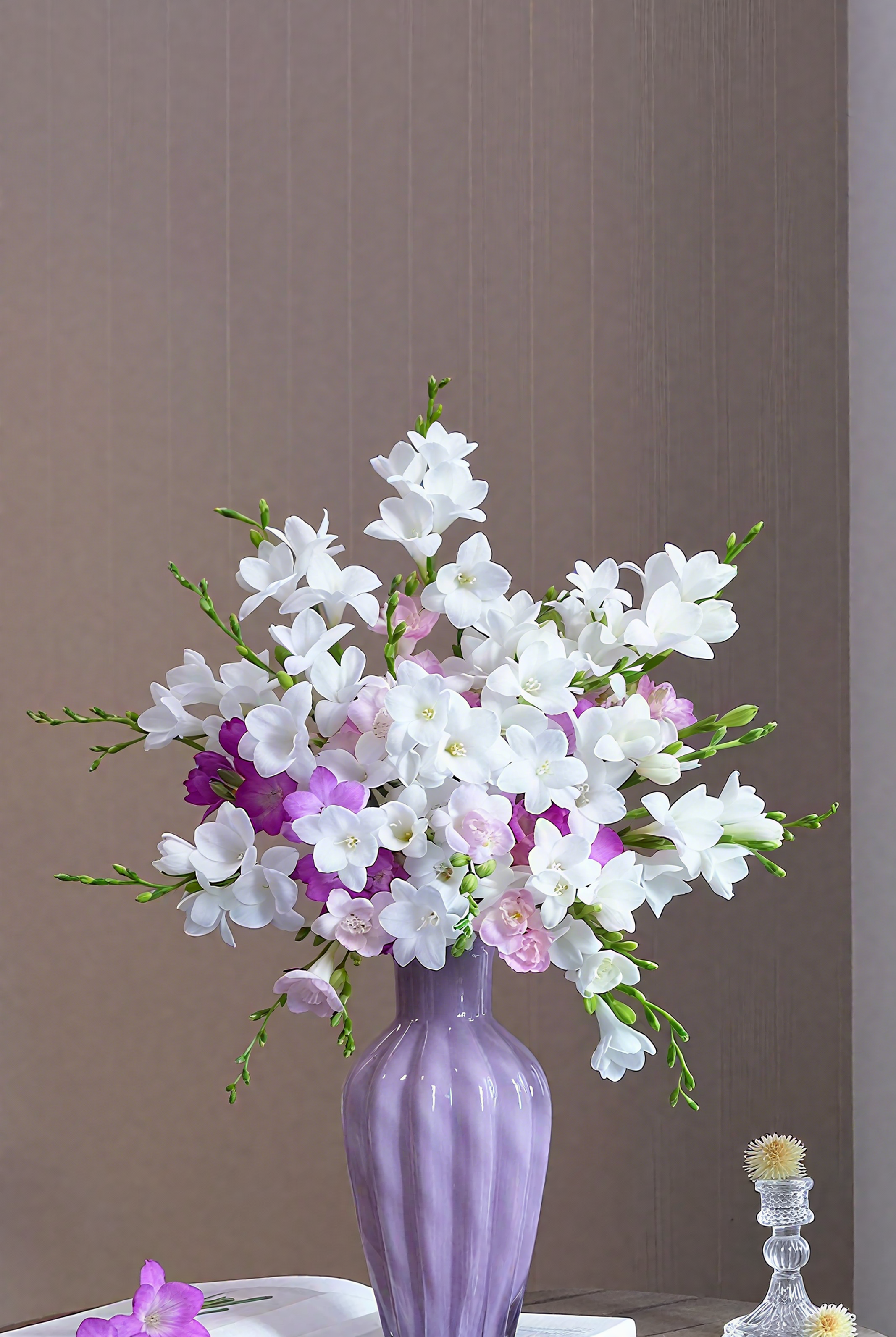 🌸Freesia, Your Little Fragrant Lily！🌸