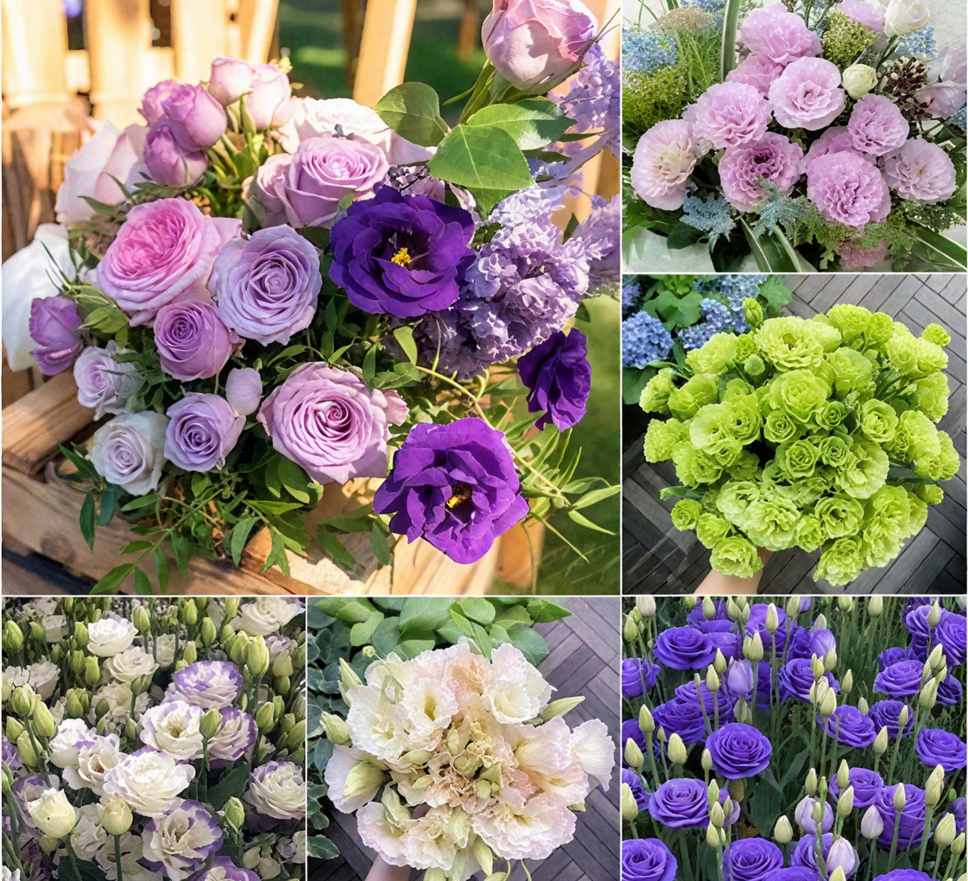 🔥🌺Low-maintenance Eustoma Flower Seeds🌈