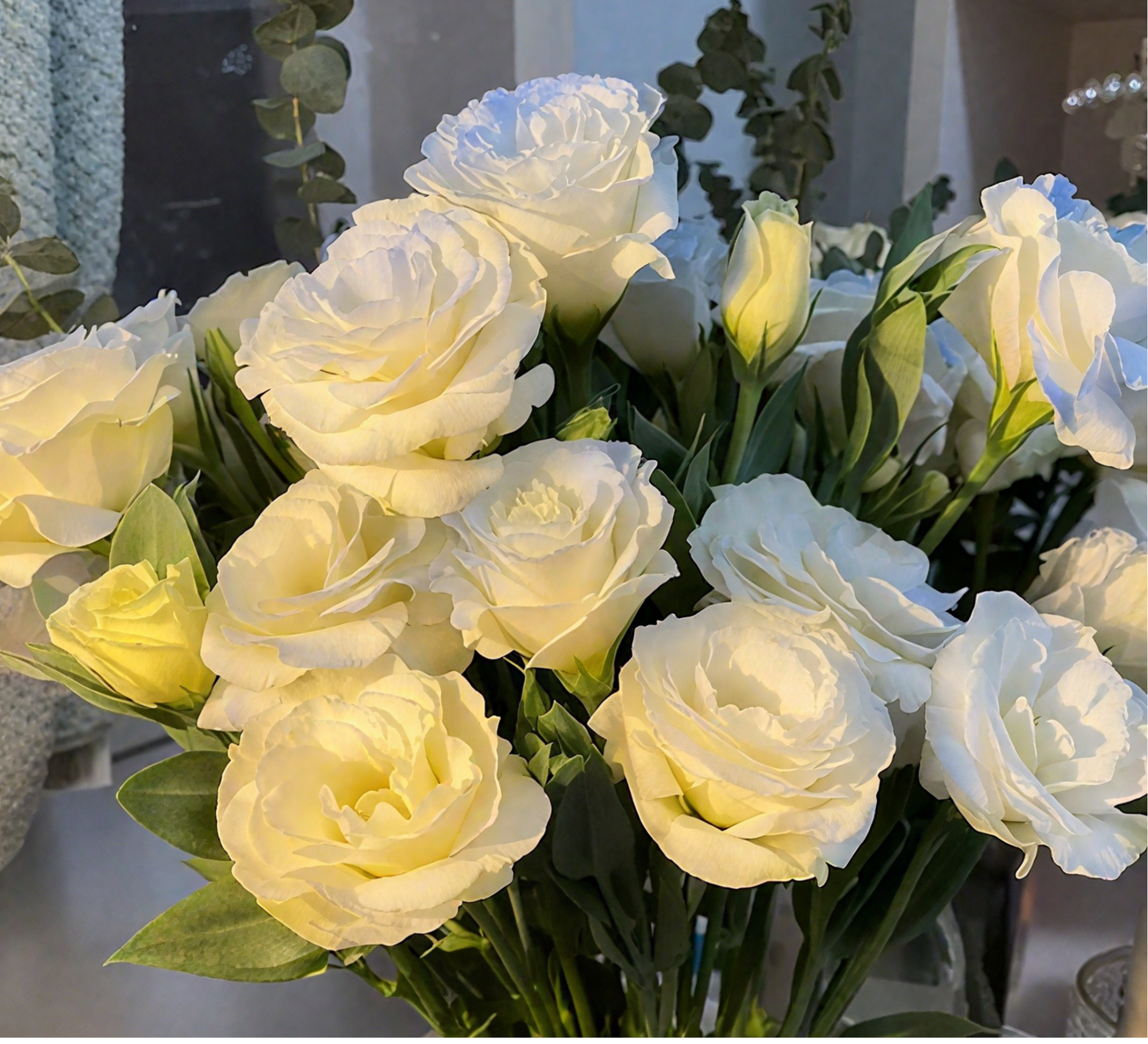 🔥🌺Low-maintenance Eustoma Flower Seeds🌈