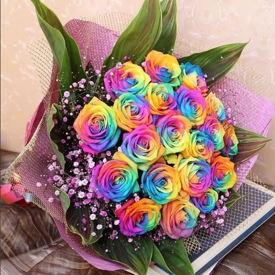 ❤️‍🔥Rainbow Rose Seeds✨
