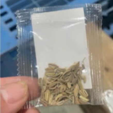 🍅Vegetable Seed Vault Kit | 35 Variety Pack🥒