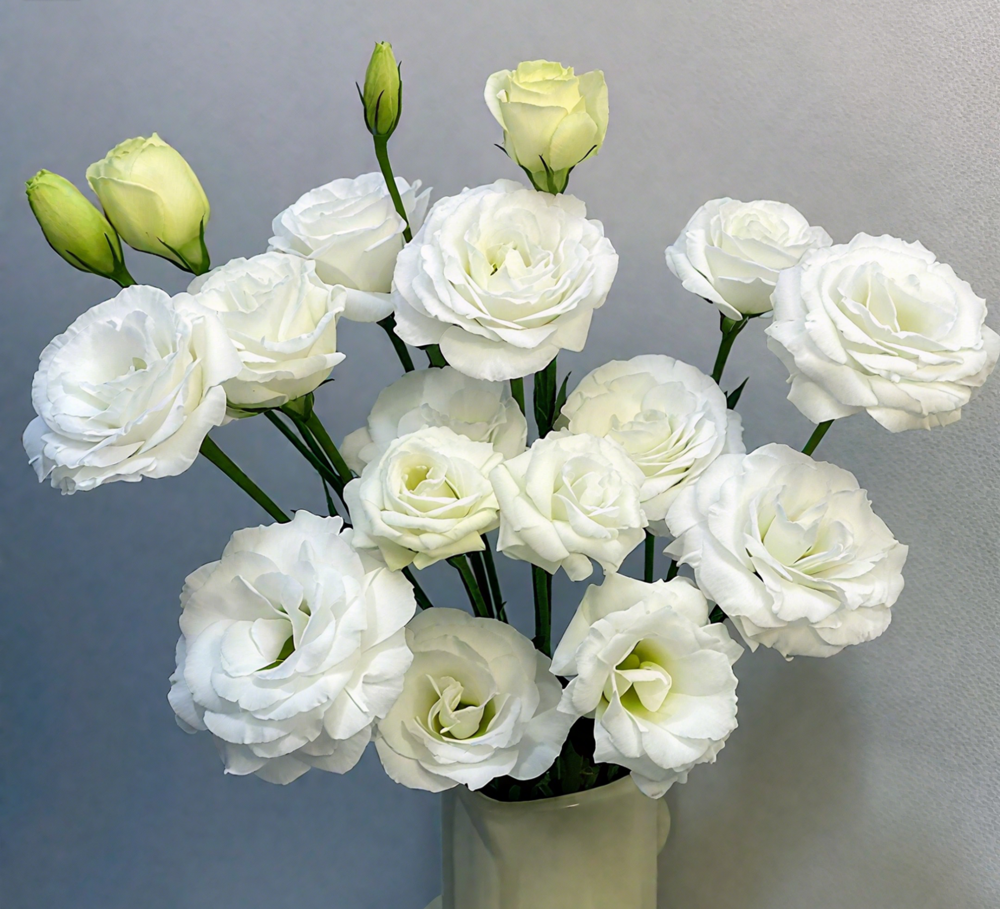 🔥🌺Low-maintenance Eustoma Flower Seeds🌈