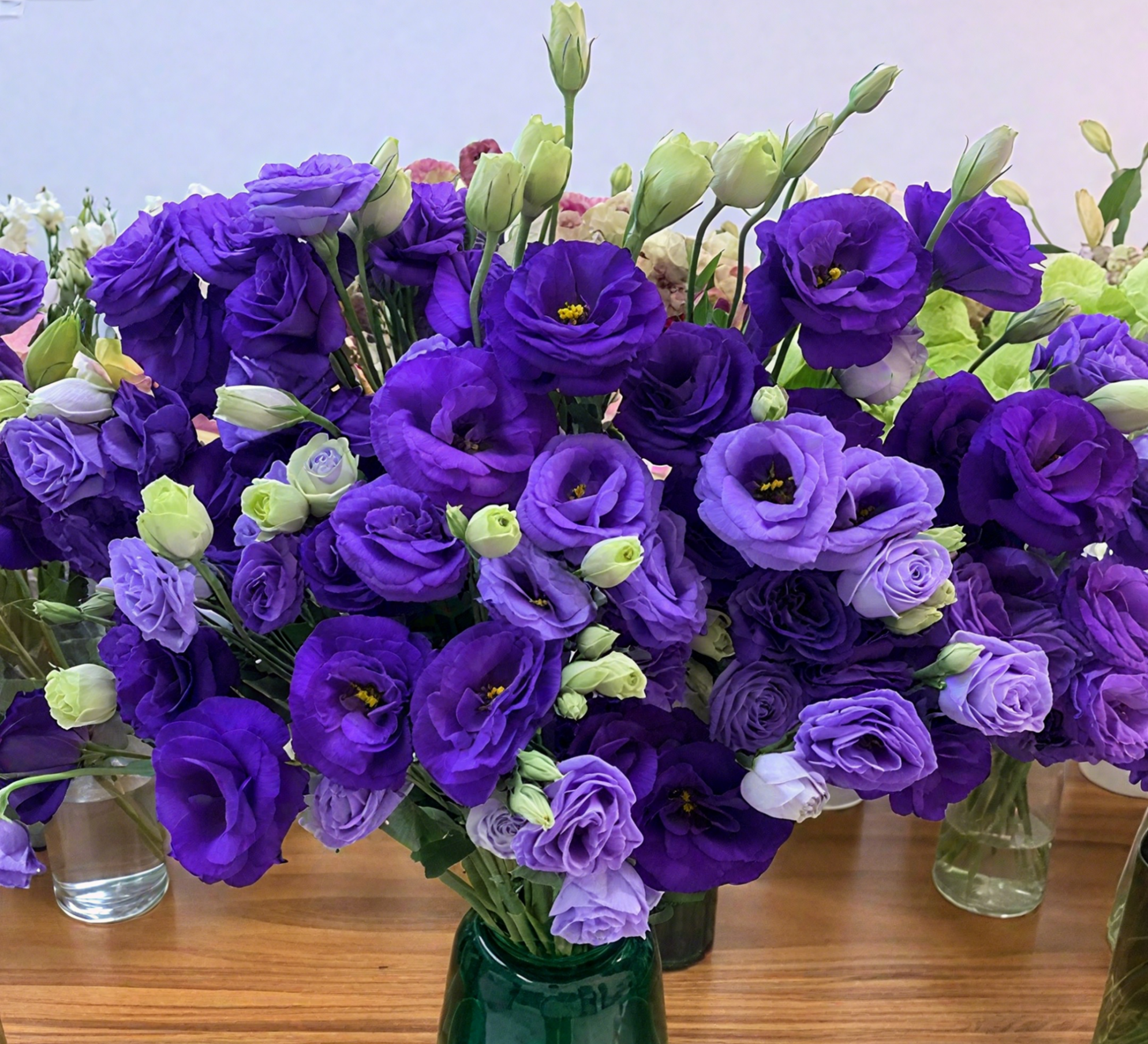 🔥🌺Low-maintenance Eustoma Flower Seeds🌈