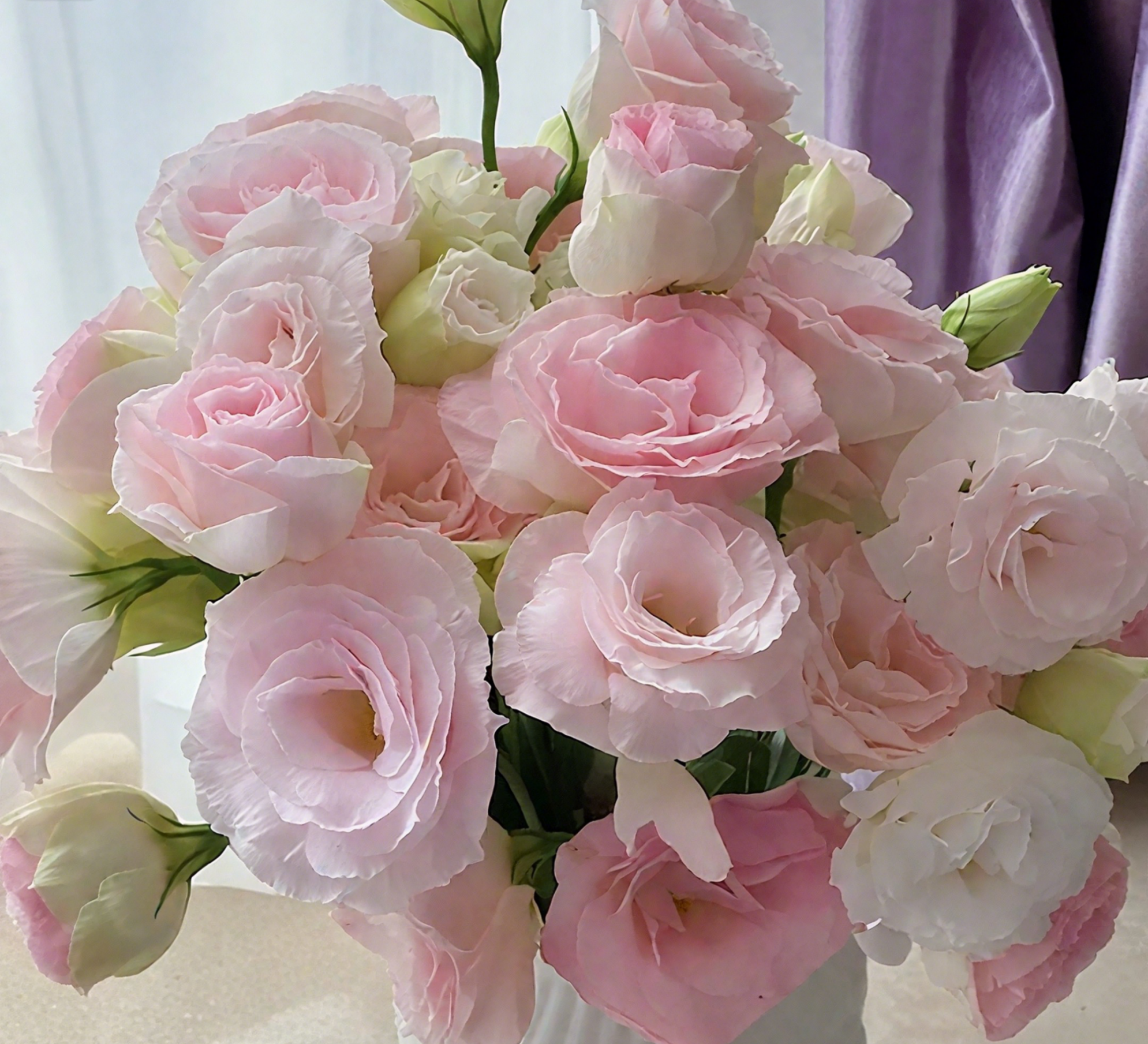 🔥🌺Low-maintenance Eustoma Flower Seeds🌈