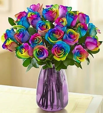 ❤️‍🔥Rainbow Rose Seeds✨