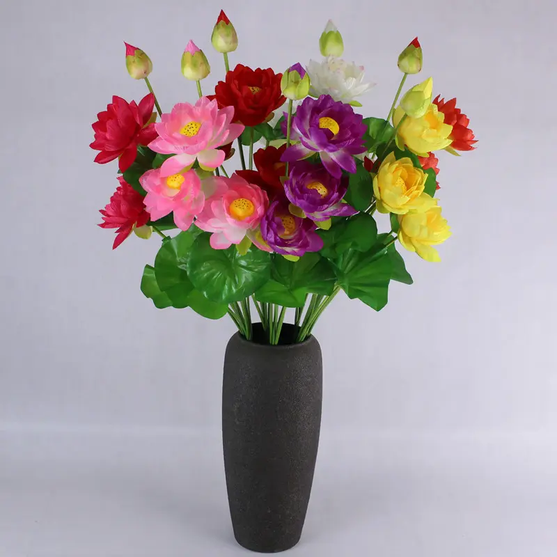 🌈 Rainbow Lotus Flower Seeds – Exotic Water Lilies for Indoor & Outdoor 🌸
