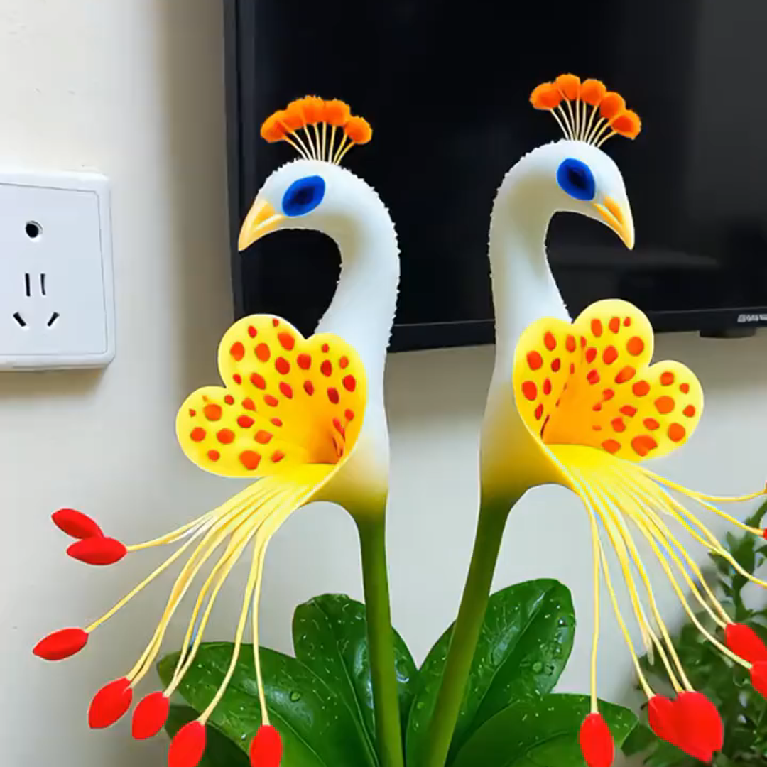 💎 Peacock Bloom Orchid