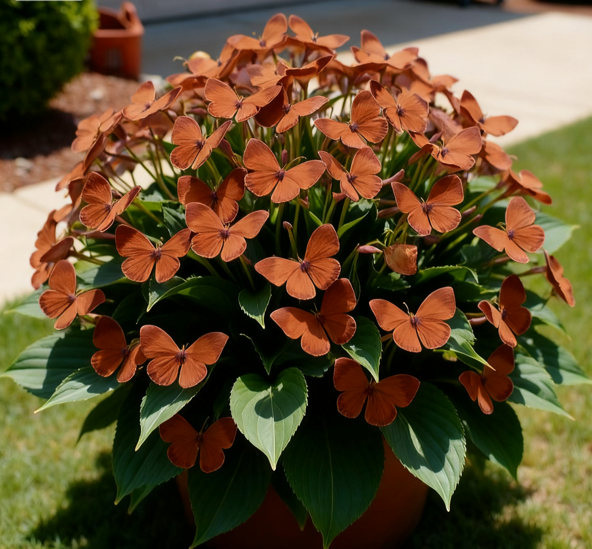 🌸 Whimsical Butterfly Blooms – A Burst of Color in Every Petal! 🌸