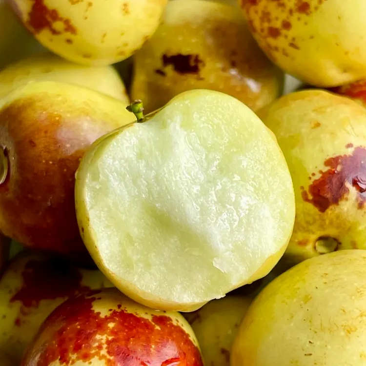 🌿✨Sweet jujube treasure: the twisted jewel! 🍏💚