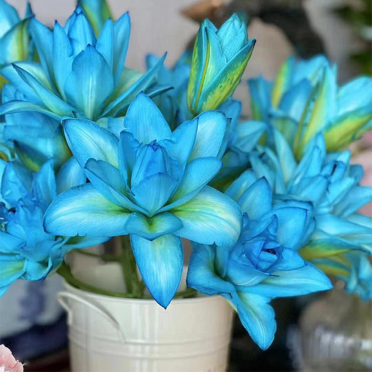 ✨2025 NEW 🌸 Rare Lilies Bulbs Seeds