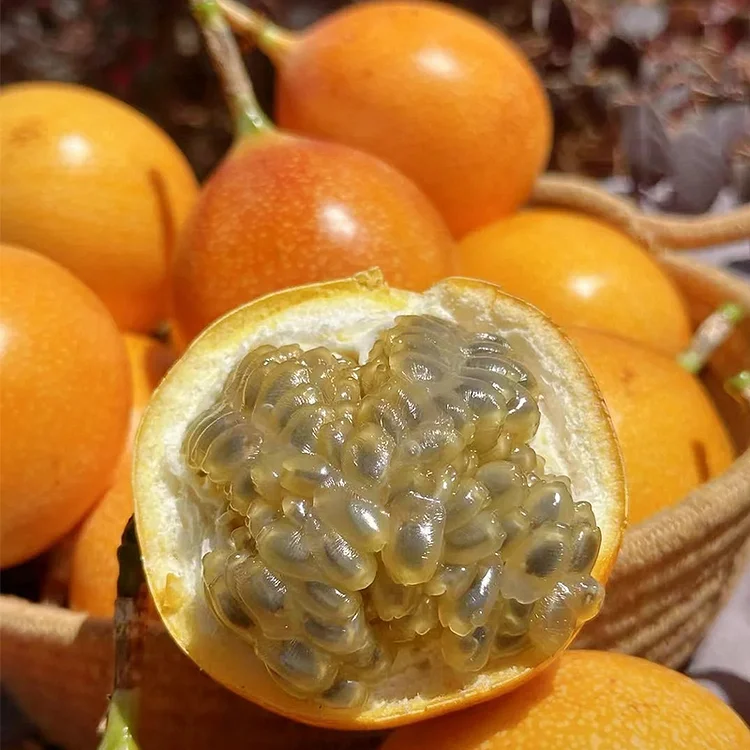 COLOMBIAN PASSION FRUIT SEEDS