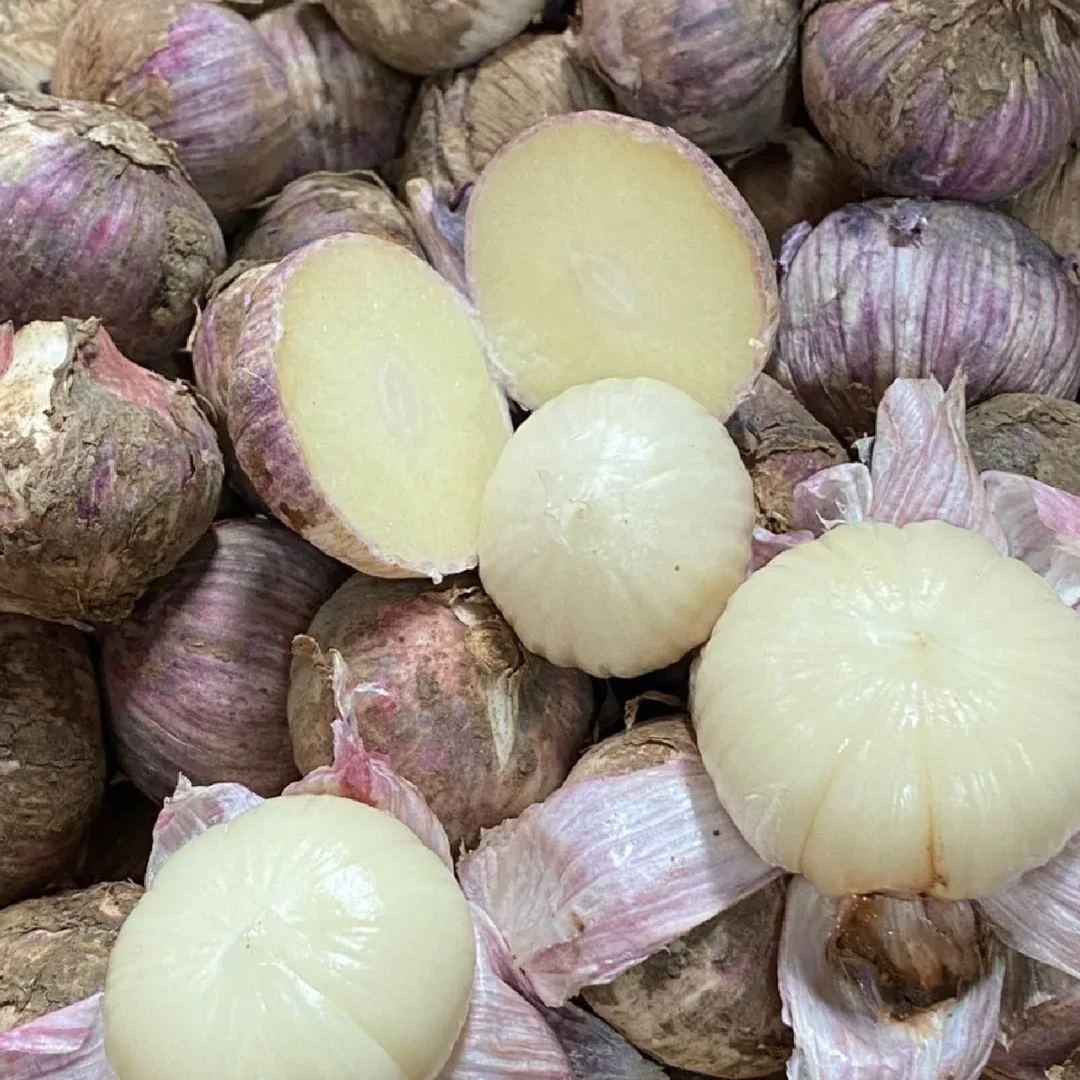🧄Single Clove Garlic: Bold Flavor, Healthy Choice!