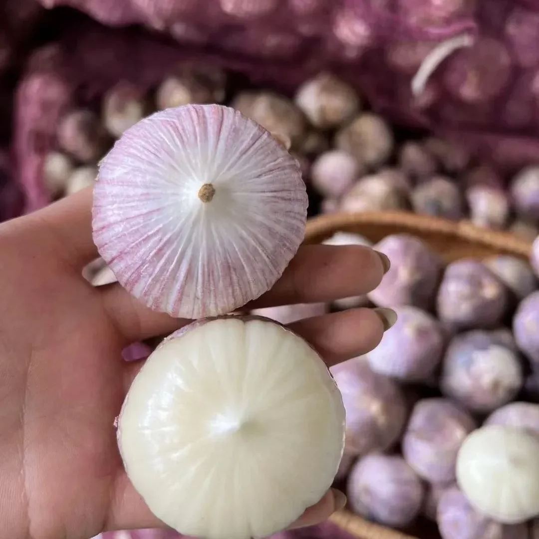 🧄Single Clove Garlic: Bold Flavor, Healthy Choice!