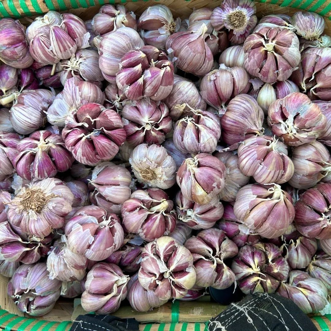 🧄Single Clove Garlic: Bold Flavor, Healthy Choice!