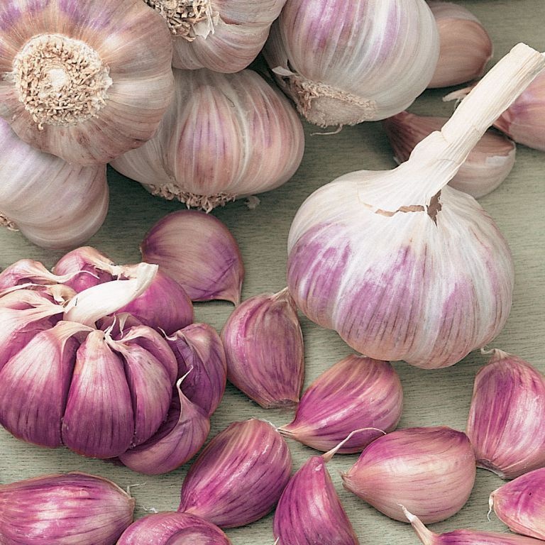 🧄Single Clove Garlic: Bold Flavor, Healthy Choice!