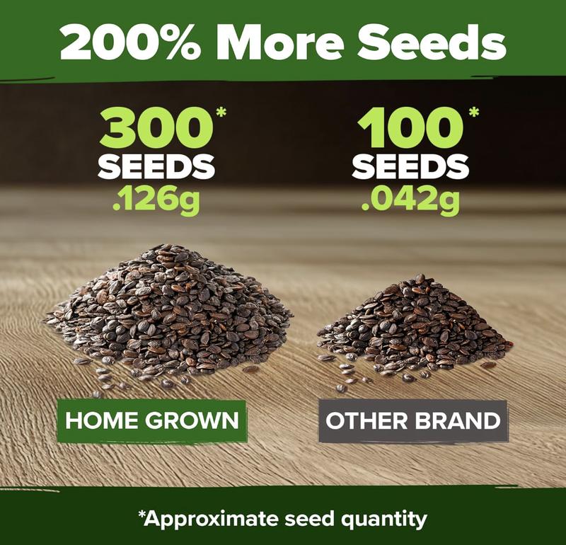 🌸 Aubrieta Rock Cress (Purple) – A Low-Growing Perennial That Turns Walls & Slopes Into Blooming Cascades