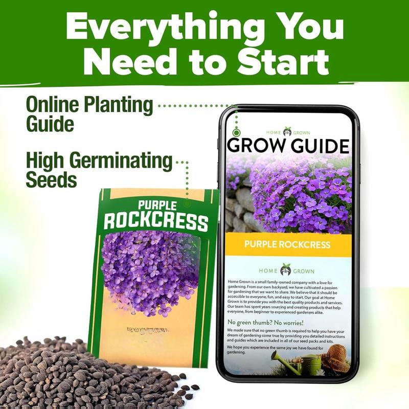 🌸 Aubrieta Rock Cress (Purple) – A Low-Growing Perennial That Turns Walls & Slopes Into Blooming Cascades