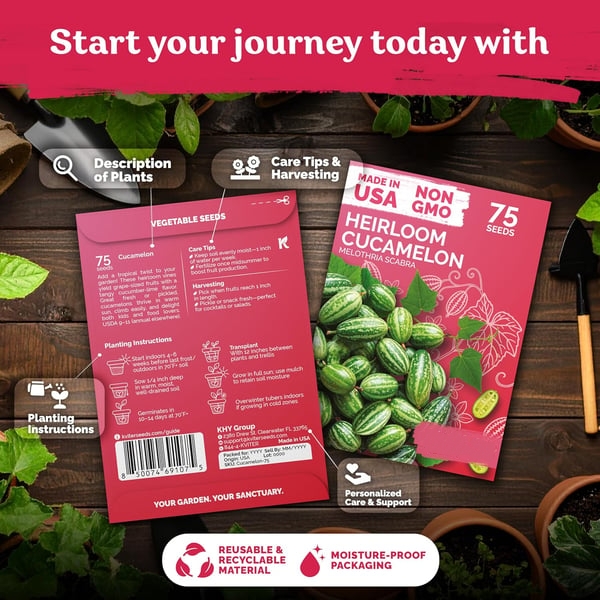 🥒HEIRLOOM CUCAMELON Seeds (Mexican Sour Gherkin) | 50+ Seeds High-Yield Pack