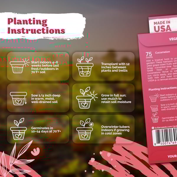 🥒Cucamelon Seeds (Mexican Sour Gherkin) | 50+ Seeds High-Yield Pack