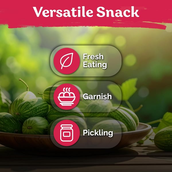 🥒Cucamelon Seeds (Mexican Sour Gherkin) | 50+ Seeds High-Yield Pack