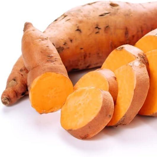 🍠 Ultra Sweet Red Sweet Potato Seeds