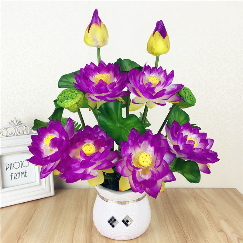 🔥🔥🔥🌈 Rainbow Lotus Flower Seeds – Exotic Water Lilies for Indoor & Outdoor 🌸