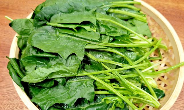 Heat-tolerant Spinach Regiment F1 Organic -Grown in summer