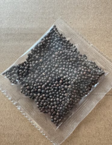 💥2026 Special Offer 🌌Midnight Blue Heart Hosta Seeds, Perennial Shade Plant for the Garden