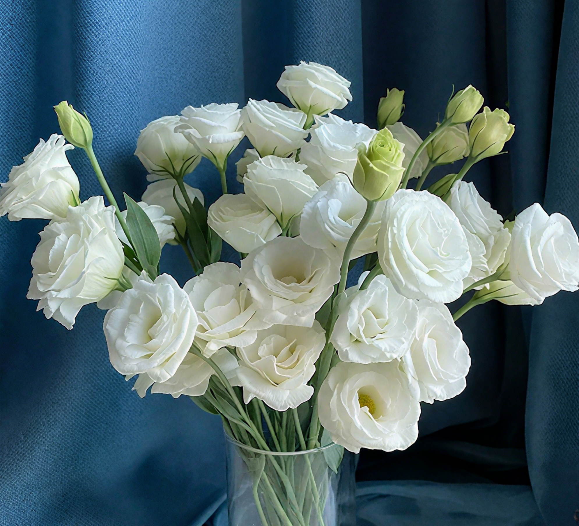 🔥🌺Low-maintenance Eustoma Flower Seeds🌈