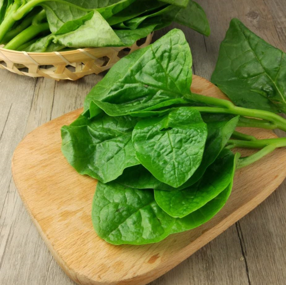 GIANT MALABAR SPINACH