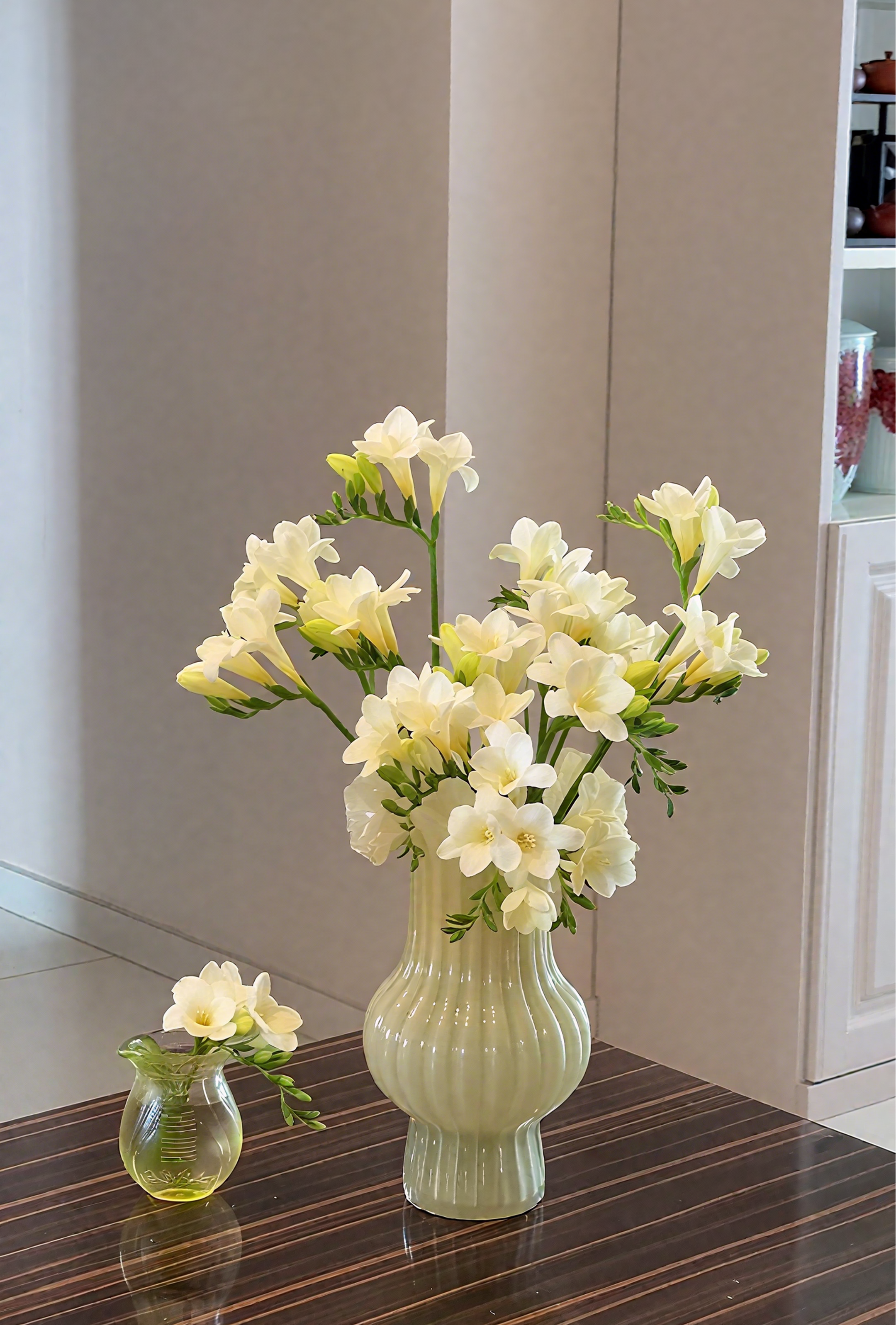 🌸Freesia, Your Little Fragrant Lily！🌸