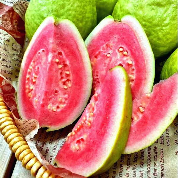 🔥 (New Harvest) Organic Pink Guava Seeds | 🌿Pre-Primed for High Germination (99% Germination)