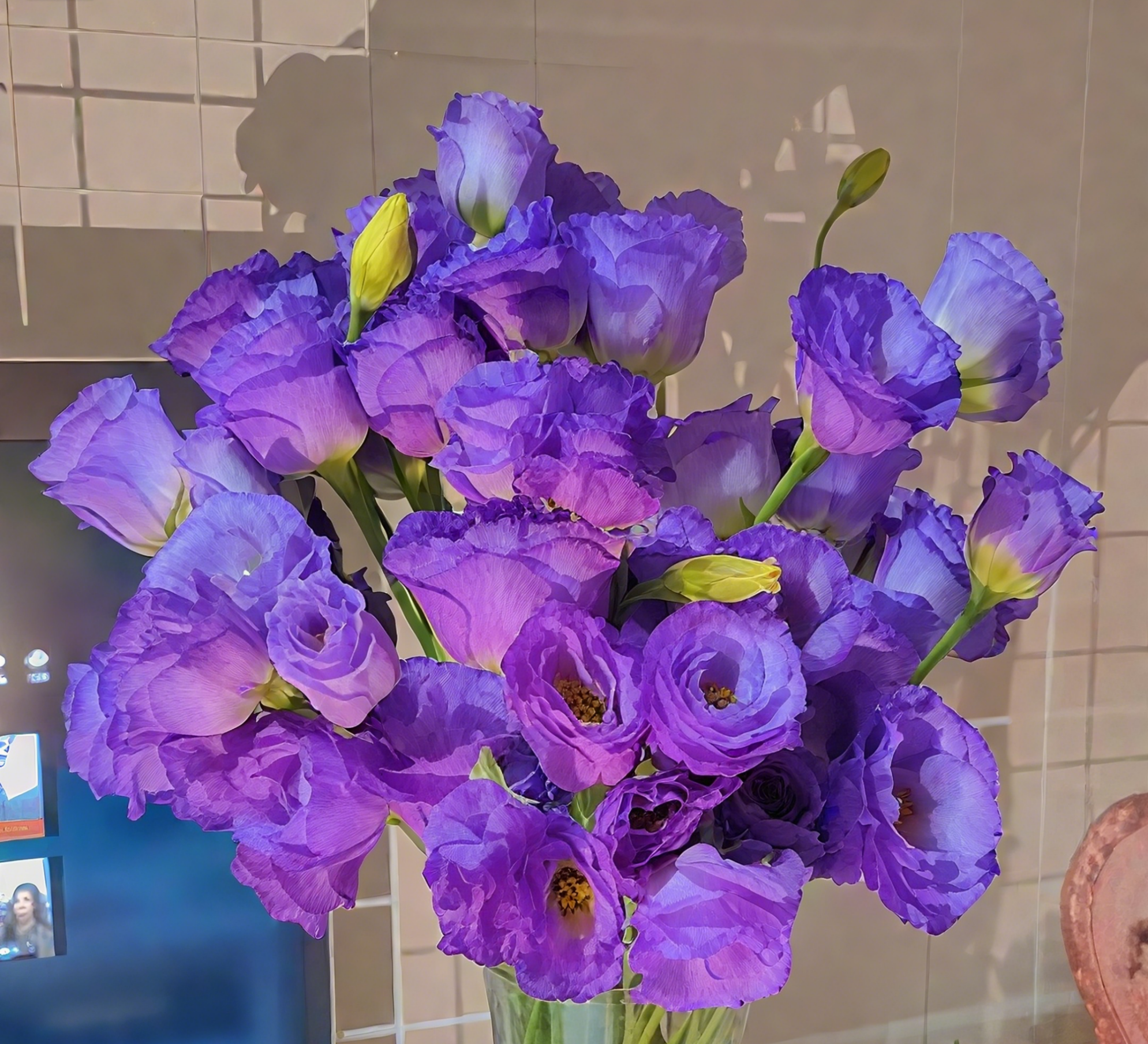 🔥🌺Low-maintenance Eustoma Flower Seeds🌈
