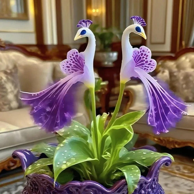 💎 Peacock Bloom Orchid
