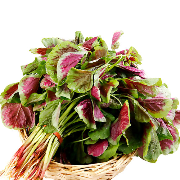 Large-Leafed Red Amaranth Seeds 