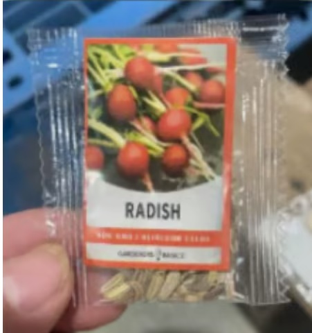 🍅Vegetable Seed Vault Kit | 35 Variety Pack🥒