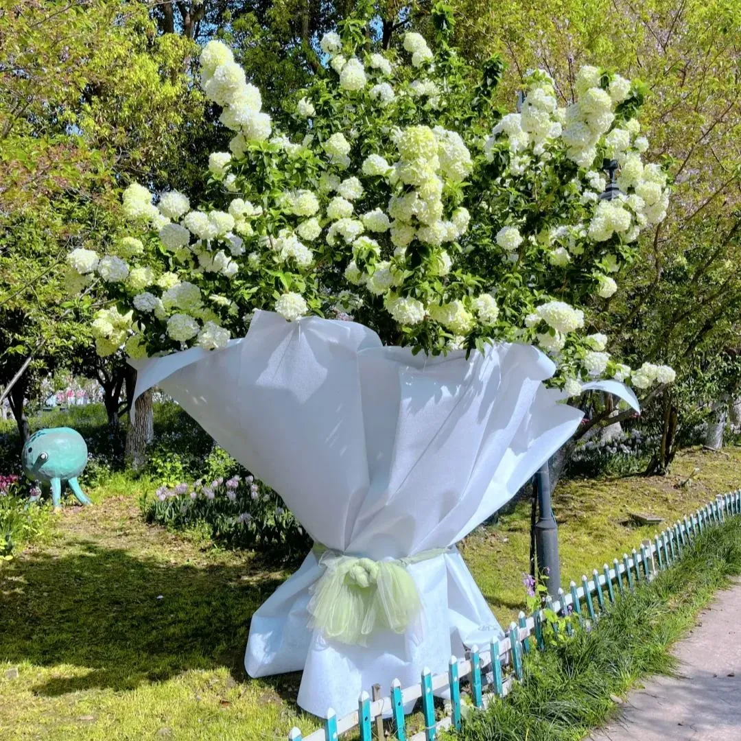 🔥Limited Time Special Offer🎉Viburnum macrocephalum