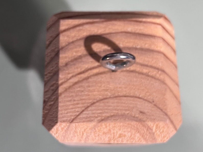 🐝Best Carpenter Bee Trap