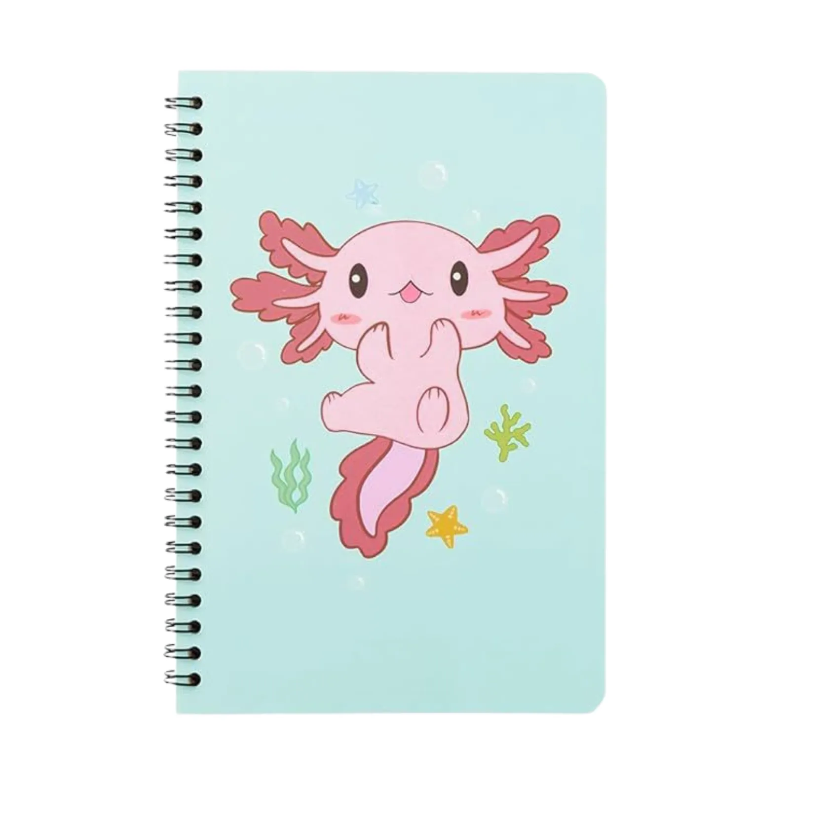 Custom Spiral Notebook with Cartoon Design