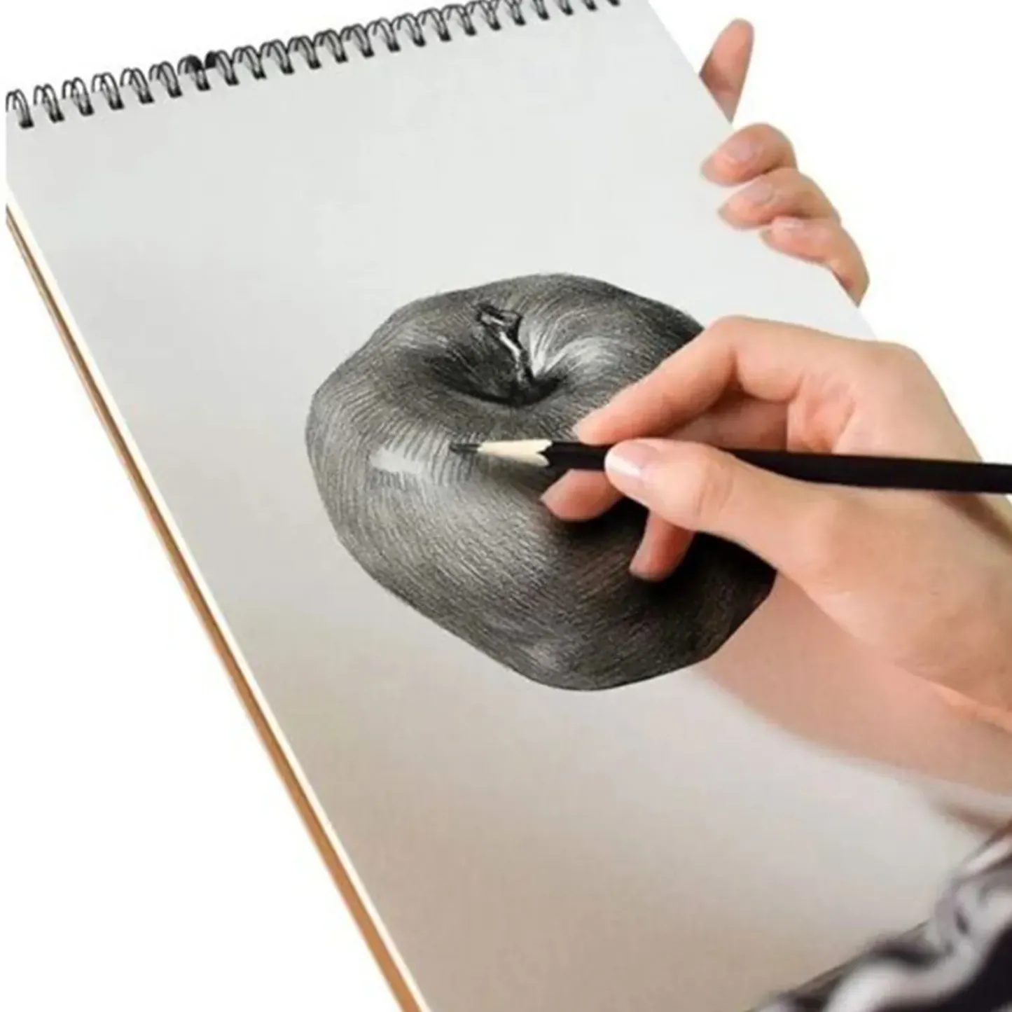 Premium Artist Drawing Notebook