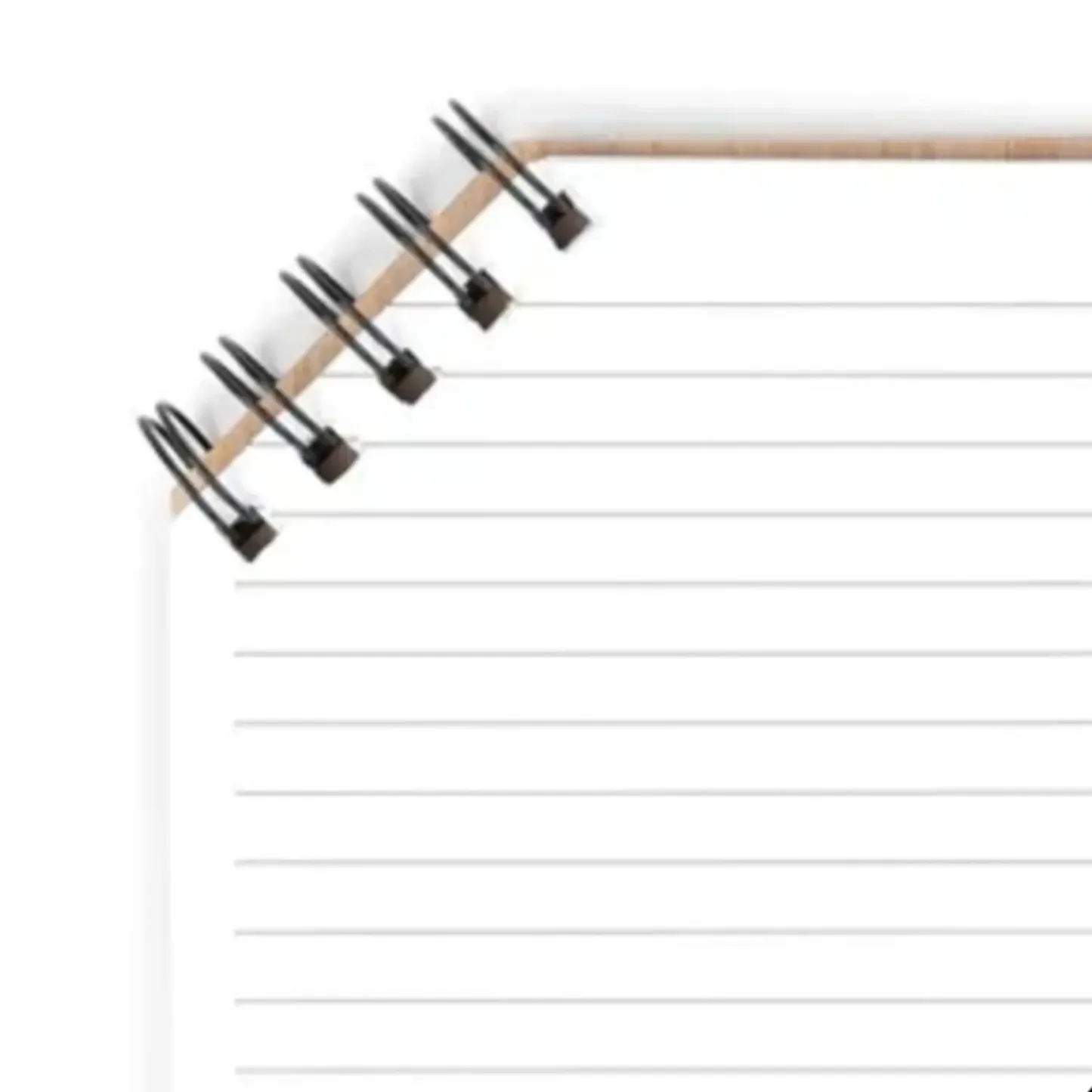 Custom Recycled FSC-Certified Spiral Notebook