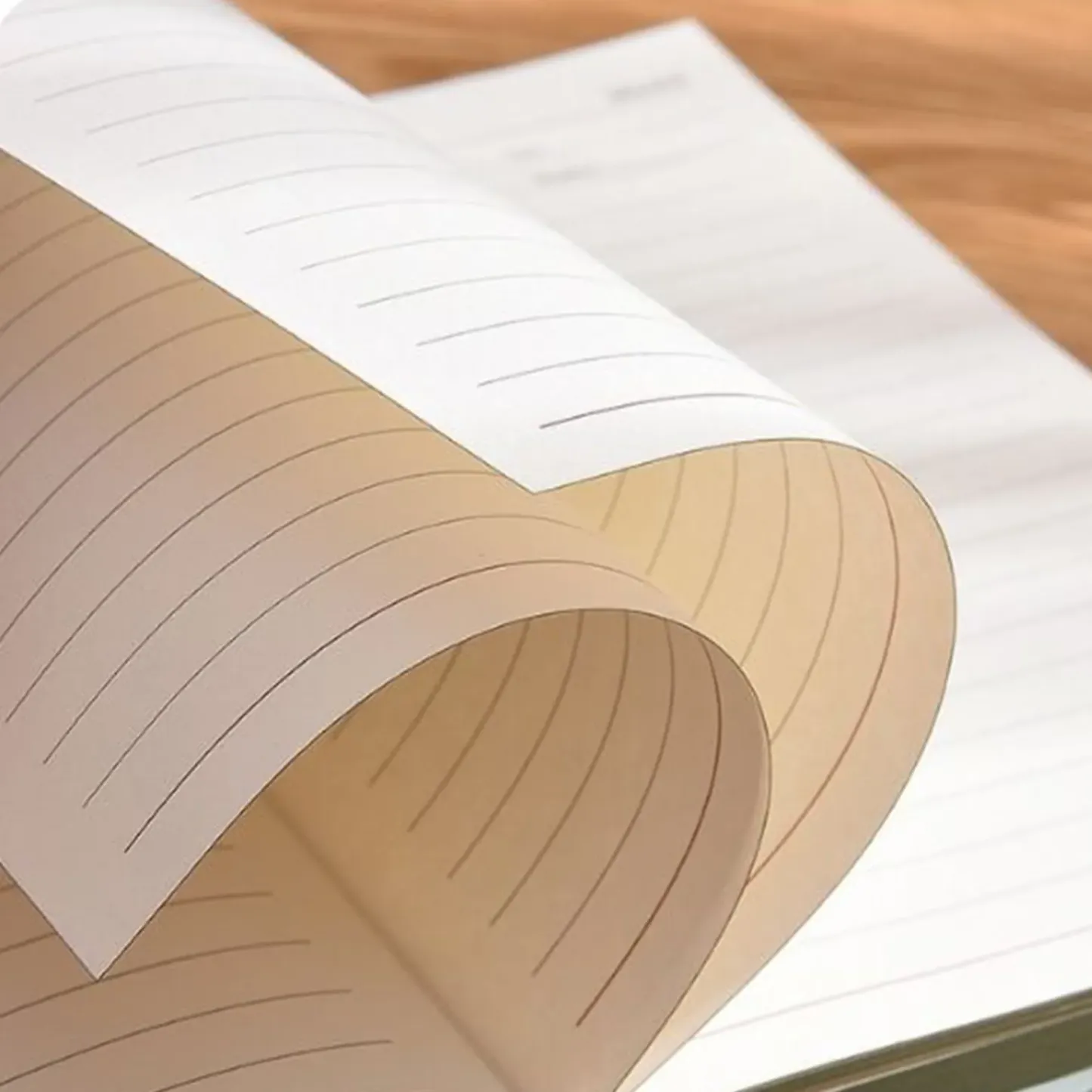 Deluxe Office Notebook Set